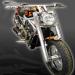 Front view, full bike
