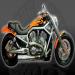 Side view, full bike
